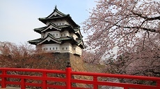 Cerisiers du château d’Hirosaki
