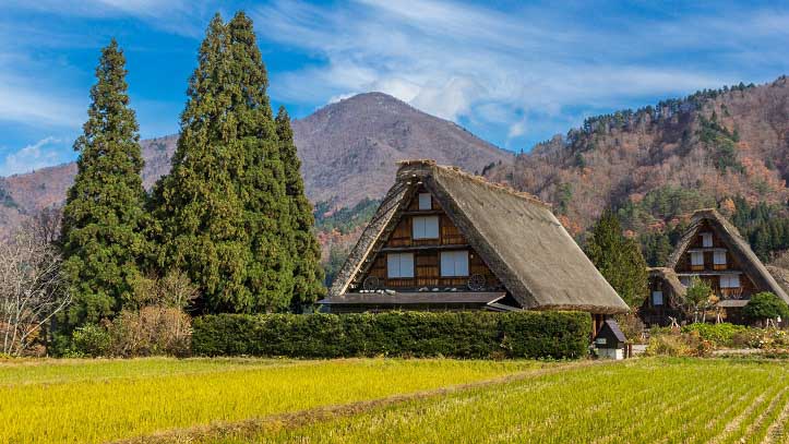 Maison traditionnelle au toit de chaume du village de Shirakawago