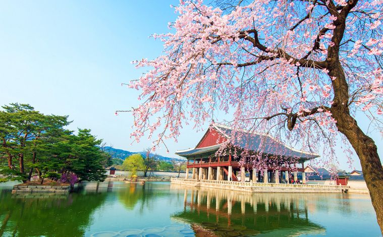 palais-Gyeongbokgung-cerisiers-liste