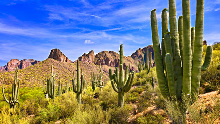 Phoenix desert Arizona