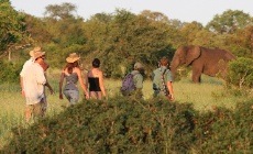 sejour afrique du sud sejour afrique